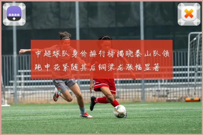 中超球队身价排行榜揭晓泰山队领跑申花紧随其后铜梁龙涨幅显著