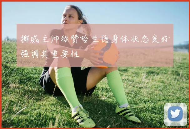 挪威主帅称赞哈兰德身体状态良好强调其重要性