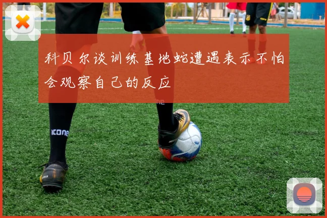 科贝尔谈训练基地蛇遭遇表示不怕会观察自己的反应